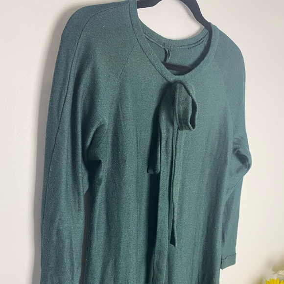 Fall/Winter Dress - Picture 3 of 6